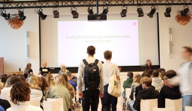 Kulturforståelse og interkulturel kommunikation